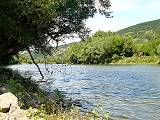 Řeka Morava pod Děvínem